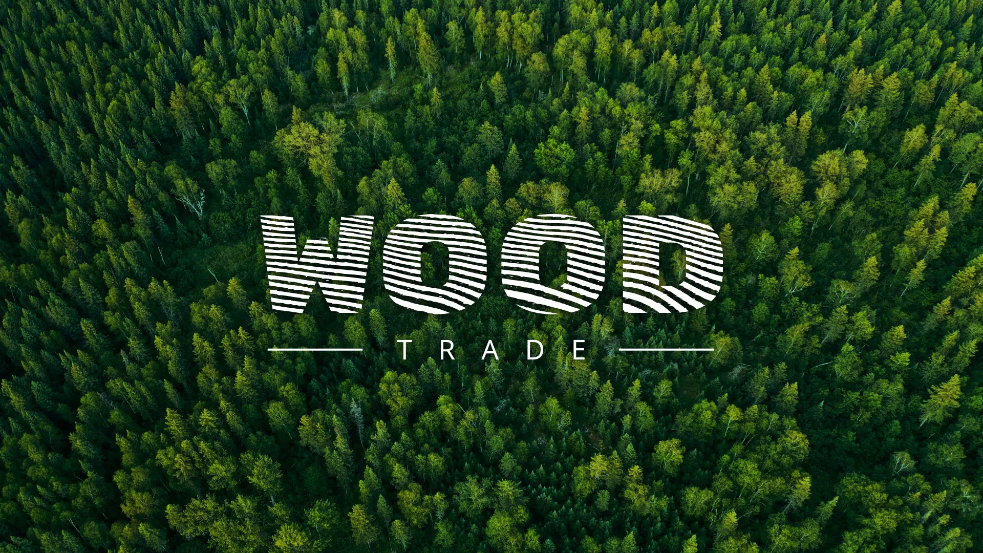 Разработка интернет-магазина компании «Wood Trade» в Саяногорске